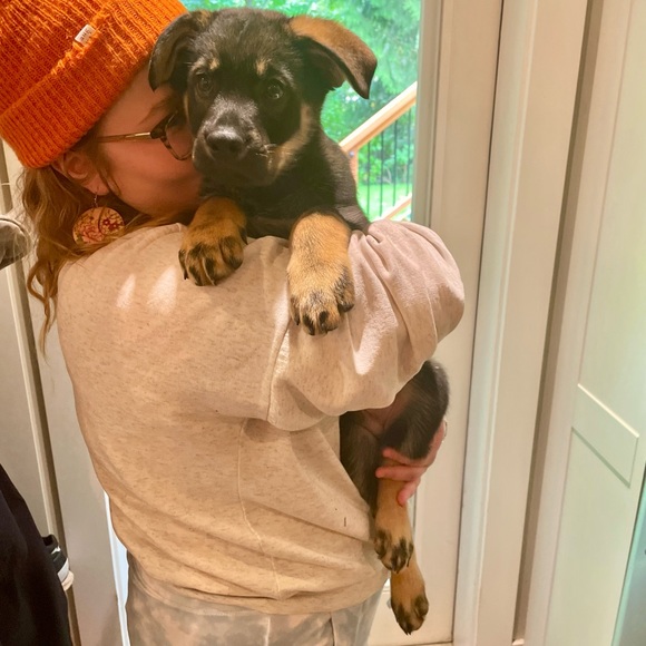 Meet your Posher, Clarisa - Picture 2 of 3